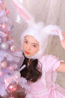 胡狼来了
